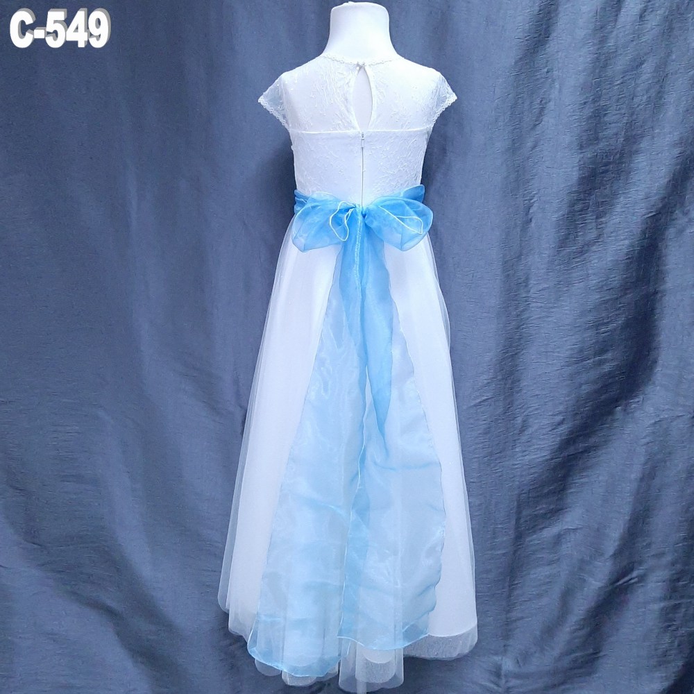 C549 (4)